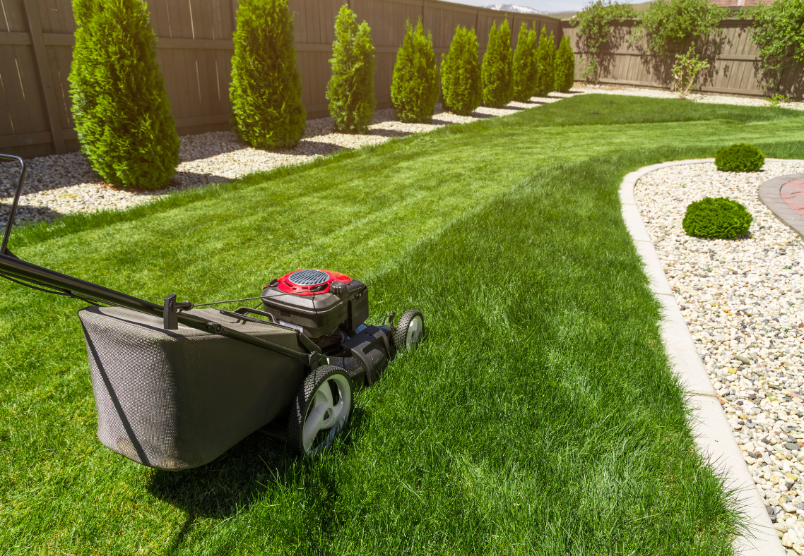 Lawn Care Services in Baltimore, MD
