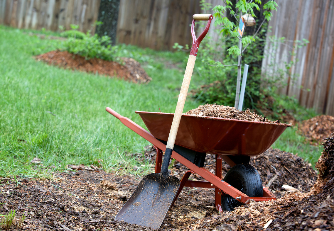 Waste Management Services in Baltimore, Maryland