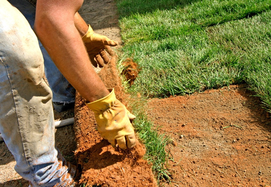 Composting Services in Baltimore, Maryland